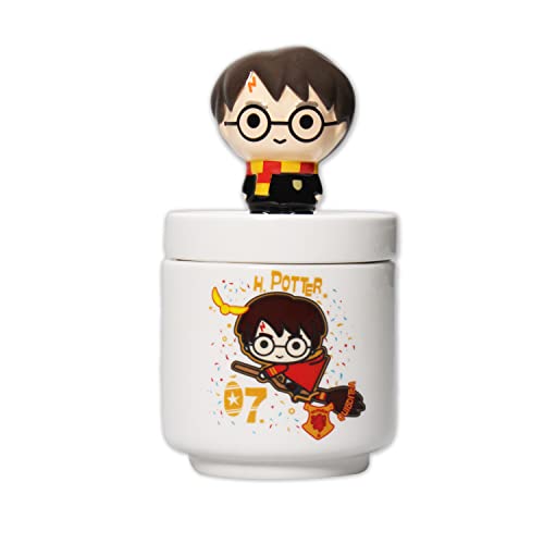 Harry Potter Caja de coleccionista Harry - Kawaii - Tarro de almacenamiento - Caja de baratijas con tapa decorativa