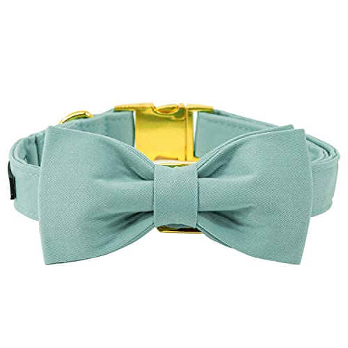 Collier pour chien 12 couleurs et laisse assortie pour chat - 6
