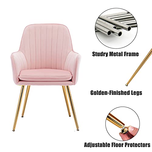 Altrobene Velvet Accent Chair, Home Office Desk Chair No Wheels, Modern Dinging Chair, Living Room Bedroom Arm Chair, Girls Vanity Chair, Golden Finished, Pink #TOP5