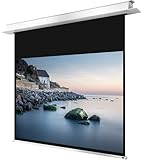 celexon motorisierte Heimkino- und Business-Beamer-Leinwand mit Diffuser Oberfläche Deckeneinbau Motor Professional Plus bis 4K - 200 x 150 cm - 4:3