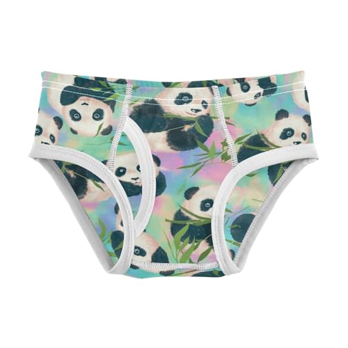 Wusikd Pandas Boys' Underwear Cotton Boys Briefs Soft Toddler Underwear 2T