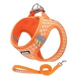 AIITLE Plaid Print Dog Harness Set – Lightweight, Reflective & Adjustable Vest Harness for Puppies – Perfect for Boston Terriers, Maltese & Indoor/Outdoor Use (XS, Orange)