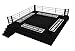 Custom Boxing Ring Canvas Cover – Heavy-Duty Non-Slip Fabric with Grommets, Reinforced Edges, and Hook-and-Loop Fasteners – Logo Printed for Training & Competition (Black, 18X18 Ft)