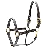 Jeffers Frankfort Leather Horse Halter w/Throat Snap, Pre-Oiled Havana Leather, Triple Stitched Nose & Cheeks, Adjustable Double Buckle Crown, Breakaway Ready, Safe Equestrian Tack - Cob Size