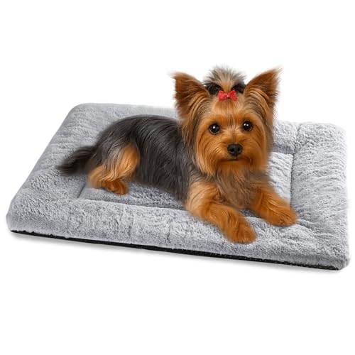 Baodan Washable Dog Bed for Small Dogs Cats, Soft Dog Crate Mattress Mat, Fluffy Comfortable Pet Beds Pad Cushion- S 60x45 cm, Grey