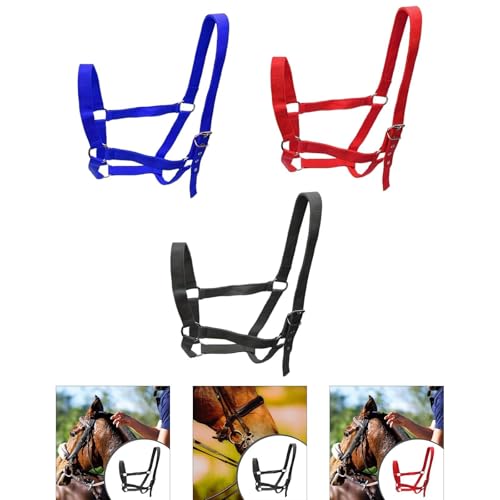 Licol pour chevaux de concours avec ajustement ergonomique gorge et menton
