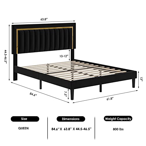 Hithos Queen Size Bed Frame With Adjustable Tufted Headboard, Velvet Upholstered Platform Bed Frame With Gold Trim, Heavy Duty Mattress Foundation With Steel Frame, Easy-Assembly Slats (Black, Queen) #TOP1