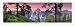 Award Winning Landscape Panoramic Art Print Poster: Yosemite National Park (Sunset)
