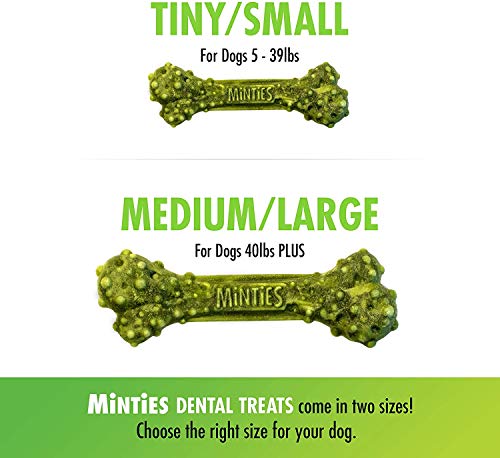 Vetiq Minties Dog Dental Bone Treats, Dental Chews For Dogs, (Perfect For Tiny / Small Dogs Under 40 Lbs), 60 Treats #TOP5