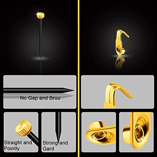 Image of Luter 100pcs Picture Hanging Kit 10lbs Stainless Steel Picture Hanging Hooks with Brass Head Hanging Pins for Hanging Picture Photo Frame Mirror Clock House Decoration (Gold)