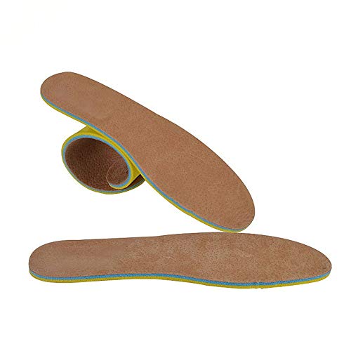 X|[cpC\[ ljƏ̒ʋC̃̕G@ʋC̉KȃX|[c̃C\[Kō ʋC z (F : F, Size : 26)