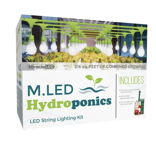 Miracle Led Hydroponics Led Indoor Grow Light Kit - Includes 4 Absolute Daylight Full Spectrum 100W Replacement Grow Light Bulbs & 1 4-Socket Corded Fixture With Sproutmatic Grow Light Timer (6-Pack) #TOP17