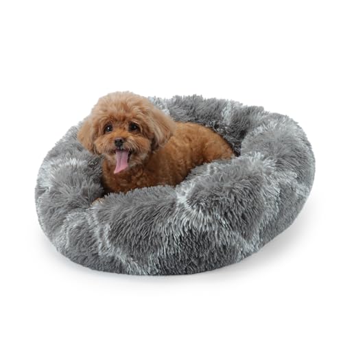 LY4U Small Cat Bed for Indoor Cats, Donut Calming Small Dog Bed, Fluffy Warm Puppy Kitten Pet Round Beds, Machine Washable
