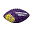 Western Illinois