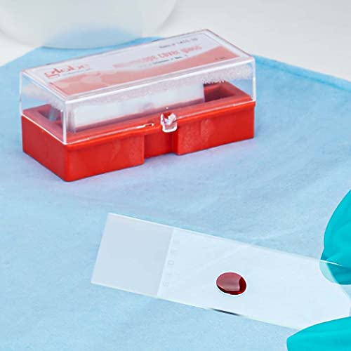 Globe Scientific 1415-10 Cover Glass, 24 X 50Mm, No. 1 Thickness (Case Of 10) #TOP5