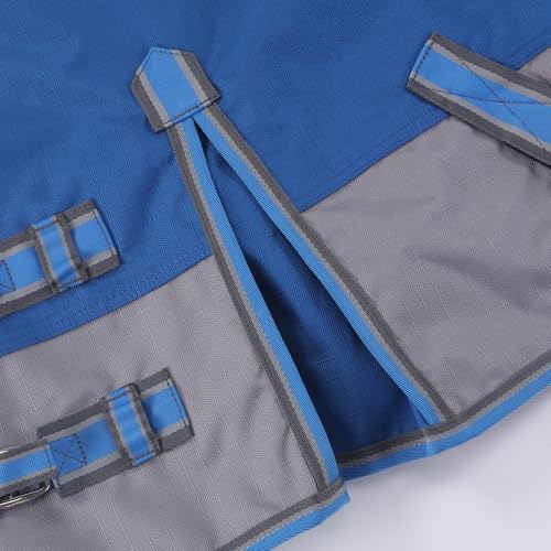 Couverture de paddock pour poulain et poney Shetland imperméable bleu roi 4'0 - 6