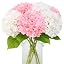 White and Pink