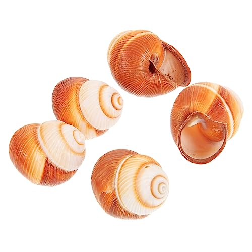 Toddmomy 5pezzi Gusci Di Chiocciola Per Cottura Escargot Spessi e Isolanti Materiale Naturale Per Forno Microonde Lavastoviglie Casa Ristorante