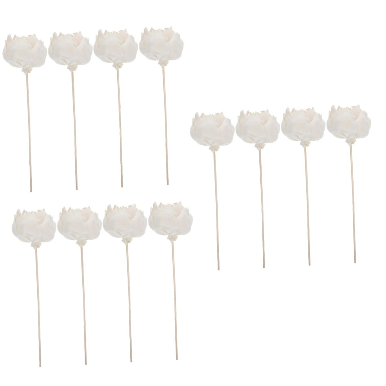 12pièces Fleurs Séchées Naturelles pour Diffuseur Huiles Essentielles Accessoires Aromathérapie avec De Couleur Naturelle