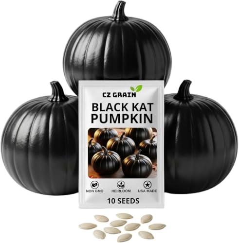 Heirloom Pumpkin Seeds for Planting Unique Decorative & Giant Pumpkin Varieties Non-GMO Fall Garden Seeds Rare Specialty Pumpkins for Harvest Decor & Home Gardens (Black Kat)