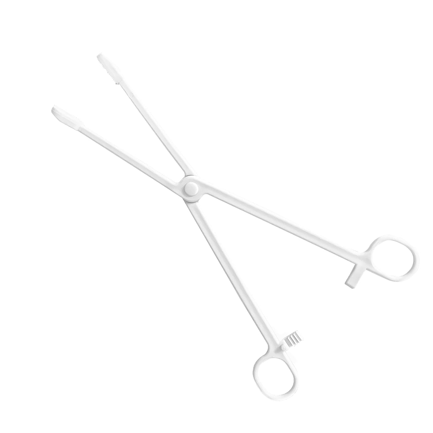HIXNUG Reptile Feeding Clip Pet Raising Feeding Tool Non-Skidding Tweezers for Tortoise Lizard Frog Spider Tarantulas