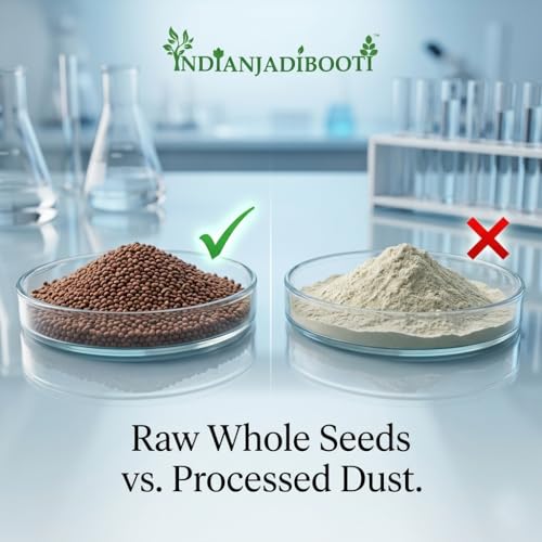 Image of IndianJadiBooti Pure Lajwanti Seeds (Mimosa Pudica) | Traditional Botanical for Cooling Harmony, Systemic Vitality & Pitta Balance - 400g (Pack of 2)