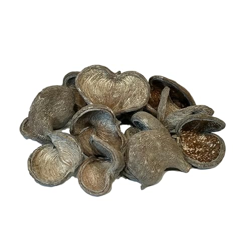 Whitewash Color with Textured Finish (Whitewashed on Brown)