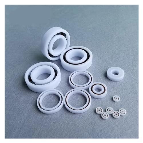 Roulement plastique POM 6306 non magnétique résistant à la corrosion