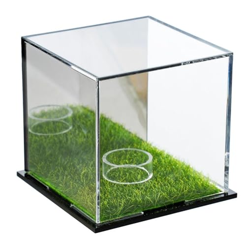 Tagtight Acrylic Golfball-Vitrine, Quadratische Golf Ball Display Case, Golf Ball Gedenkbox, Golfball Hülle Staubschutz Aufbewahrungsbox mit Acrylspiegel...