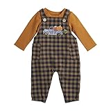 Mud Pie baby boys Pumpkin Truck Overall Set, Orange, Brown, 3-6 Months US