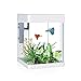 Liudan Aquariophilie/Petit Aquarium Creative Aquarium Touch Switch Aquarium en Verre Carré Bureau Mini Décoration Eau De Tortue Goldfish avec La Lumière LED Aquarium en Verre (Color : White)