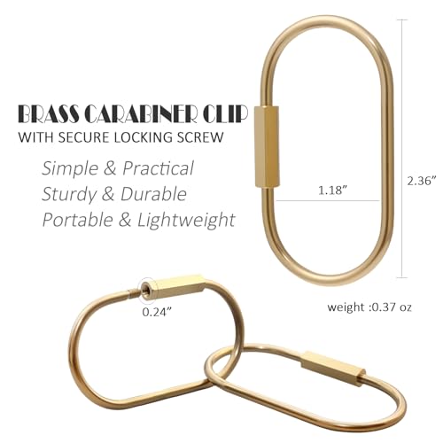 CMVFYL 10 Pcs Gold Brass Key Rings,Small Locking Carabiner Clip Keychain,Screw Lock Oval Keyring,Purse Bag Charms Holder for Handbag