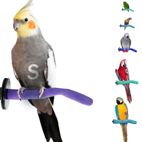 Sweet Feet and Beak Safety Pumice Perch - Trims Nails and Beak - Promotes Healthy Feet - Safe Non-Toxic Bird Supplies for Bird Cages - Small 8'