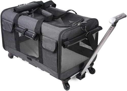 Zeruho L L[obO ybg L[J[g Lp L[ J[g 2CLp LX^[t X[cP[X |[^uybgX[cP[X e ʋC̗ǂ܂ݎybgobO g\  Lp bNL[obO U s 