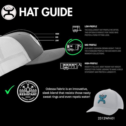 Image of HOOEY Coach Flex Fit Fitted Hat