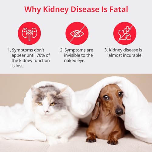 Image of [5 Kits] Free Mobile App Urine Test Strips for Dogs & Cats, Cat & Dog Kidney Function Test (Protein to Creatinine Ratio Test) at Home, Easy-to- Use ; Support English, Spanish, Korean, and Japanese