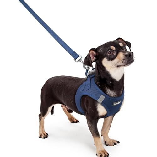 Image of rabbitgoo Dog Harness Small Sized and Leash Set, Step-in Puppy Pet Vest