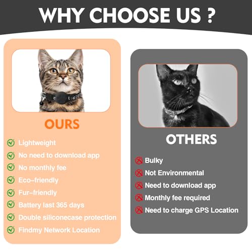 Collier GPS pour petit chat en extérieur traceur discret étanche