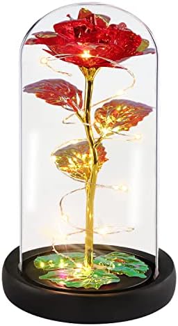 Alagoo Mothers Day Mom Gifts for Her, for Mom, Rose Flower Gifts for Women, Red Preserved Artificial Rose Flower Gift in A Glass Dome, Women Birthday Gifts for Wife, Grandma(Red)
