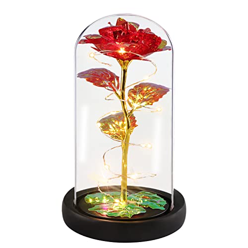 Alagoo Mothers Day Mom Gifts For Her, For Mom, Rose Flower Gifts For Women, Red Preserved Artificial Rose Flower Gift In A Glass Dome, Women Birthday Gifts For Wife, Grandma(Red) #TOP3