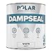 Polar White Damp Seal Paint - 500ml - Matt Finish - Stain Blocker and Anti Damp Proof Paint for Internal Walls & Ceilings - Quick Drying for Wood, Plaster, Cement and Stone