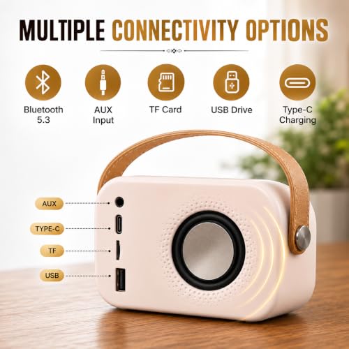 Image of Fire turtle Speaker -01 (Pink)