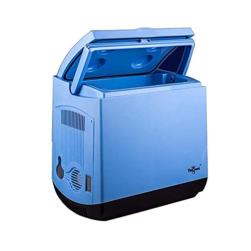 Preisvergleich Produktbild FJFSSH Schmuck Geschenkkarton Auto Kühlschrank LKW Kühlschrank Tragbarer Kühlschrank mit Gefrierfach Mini-Kühlschrank Incubator
