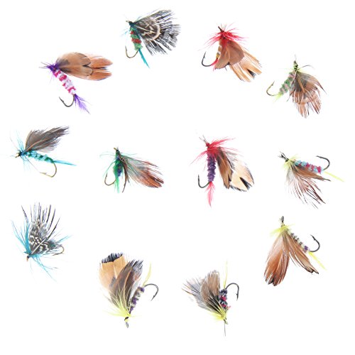 Demiawaking 12PCS Fly Fishing Lure set Style