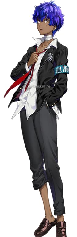 Amazon.co.jp: Fate/Grand Order 耀星のハサン コスプレ衣装+ウィッグ+