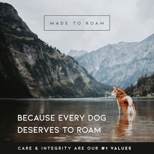 MADE TO ROAM Premium Explorer Harness - Y-Shaped Dog Harness with Adjustable Durable Nylon, Soft Padding, Metal Buckles and Leather Handle for Small, Medium, Large Dogs (Vermont Weekends, Size 2) - Thumbnail 6