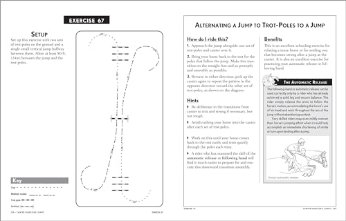 101 Jumping Exercises for Horse & Rider