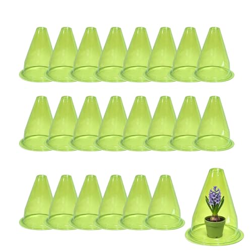 Cloches de jardín para proteger verduras y frutas en el balcón