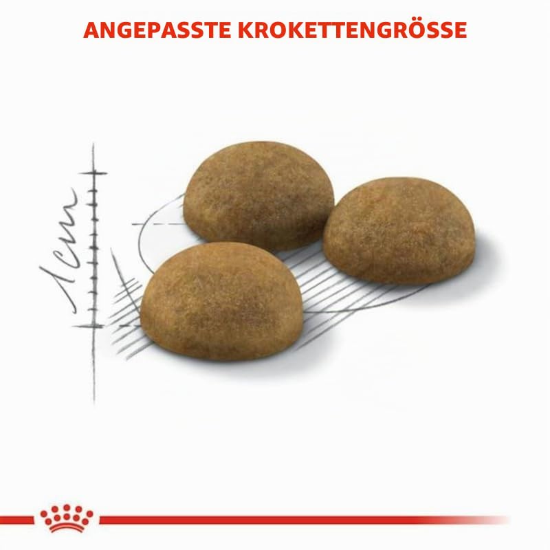 ROYAL CANIN Indoor Long Hair Trockennahrung für Katzen – 2 kg