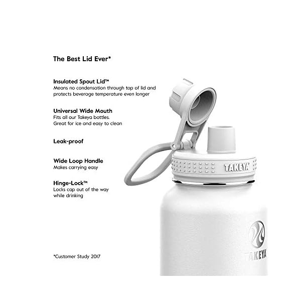 Takeya Actives Insulated Stainless Steel Water Bottle with Spout Lid, 32 Ounce, Blush